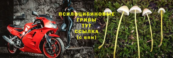 молекула духа Алзамай