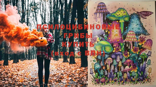 амфетамин Алексеевка