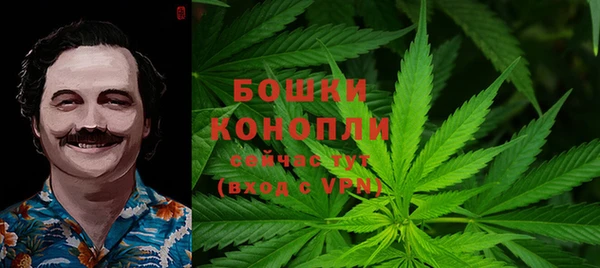 молекула духа Алзамай