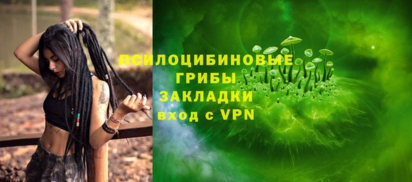 молекула духа Алзамай
